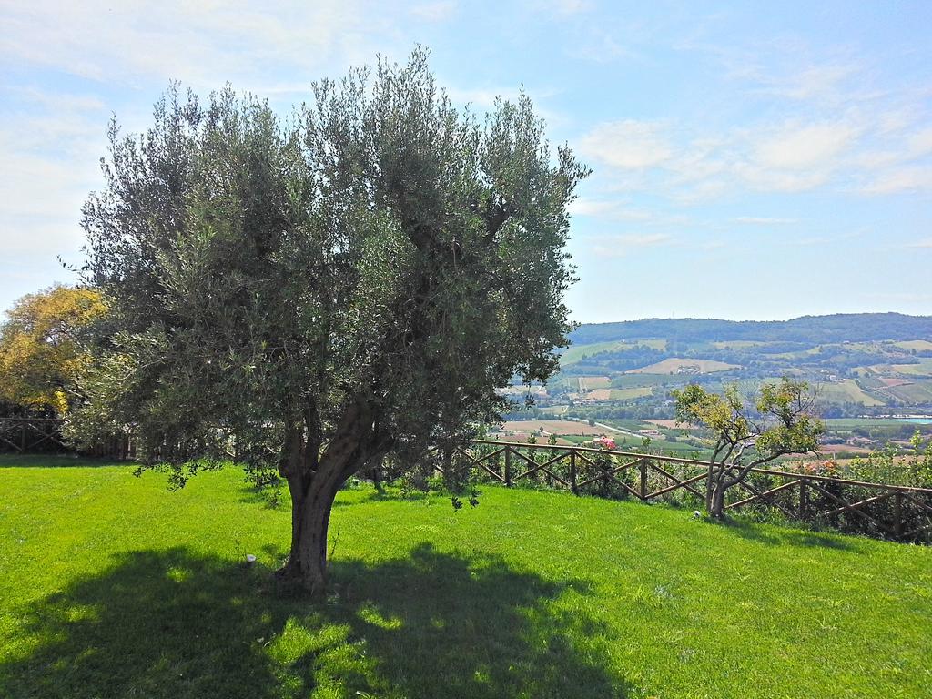 Agriturismo Montemaggio Lapedona Exterior photo