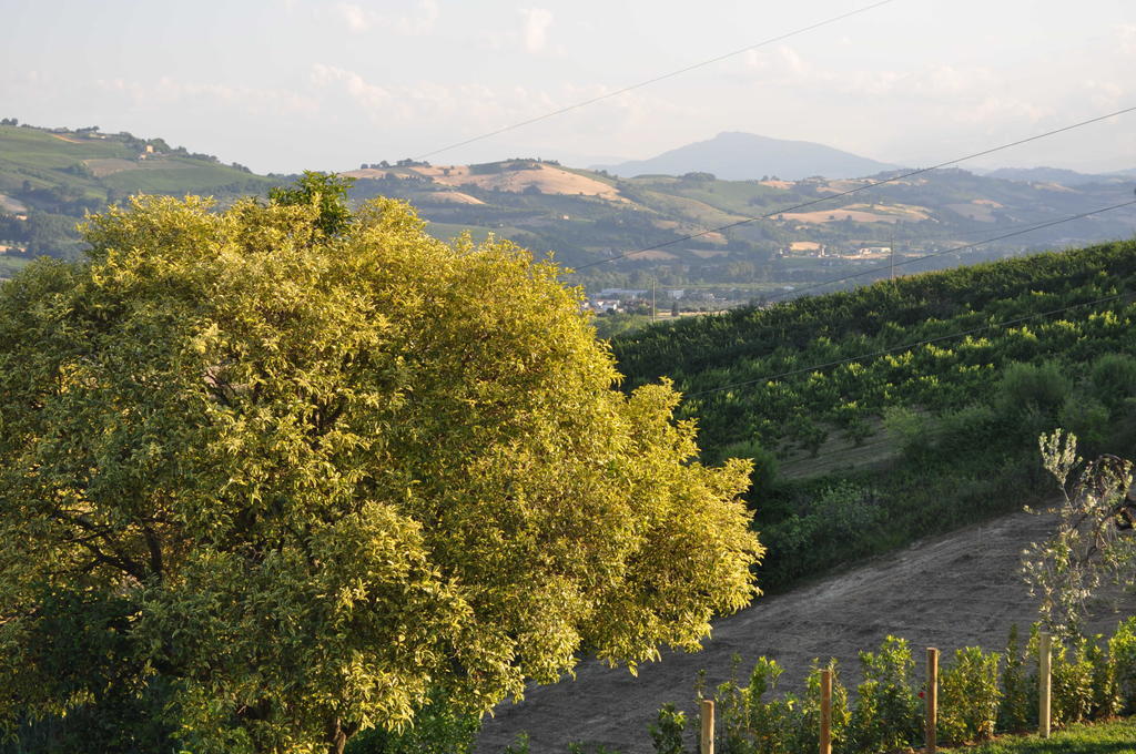 Agriturismo Montemaggio Lapedona Exterior photo